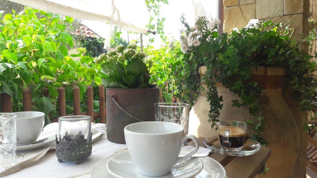 Travedona B&B Silvana מראה חיצוני תמונה