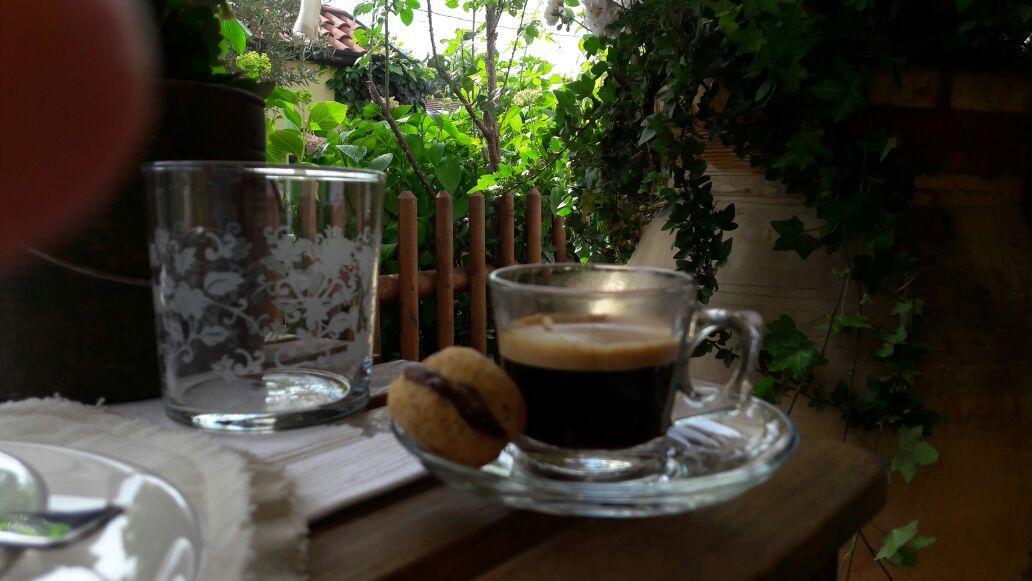 Travedona B&B Silvana מראה חיצוני תמונה