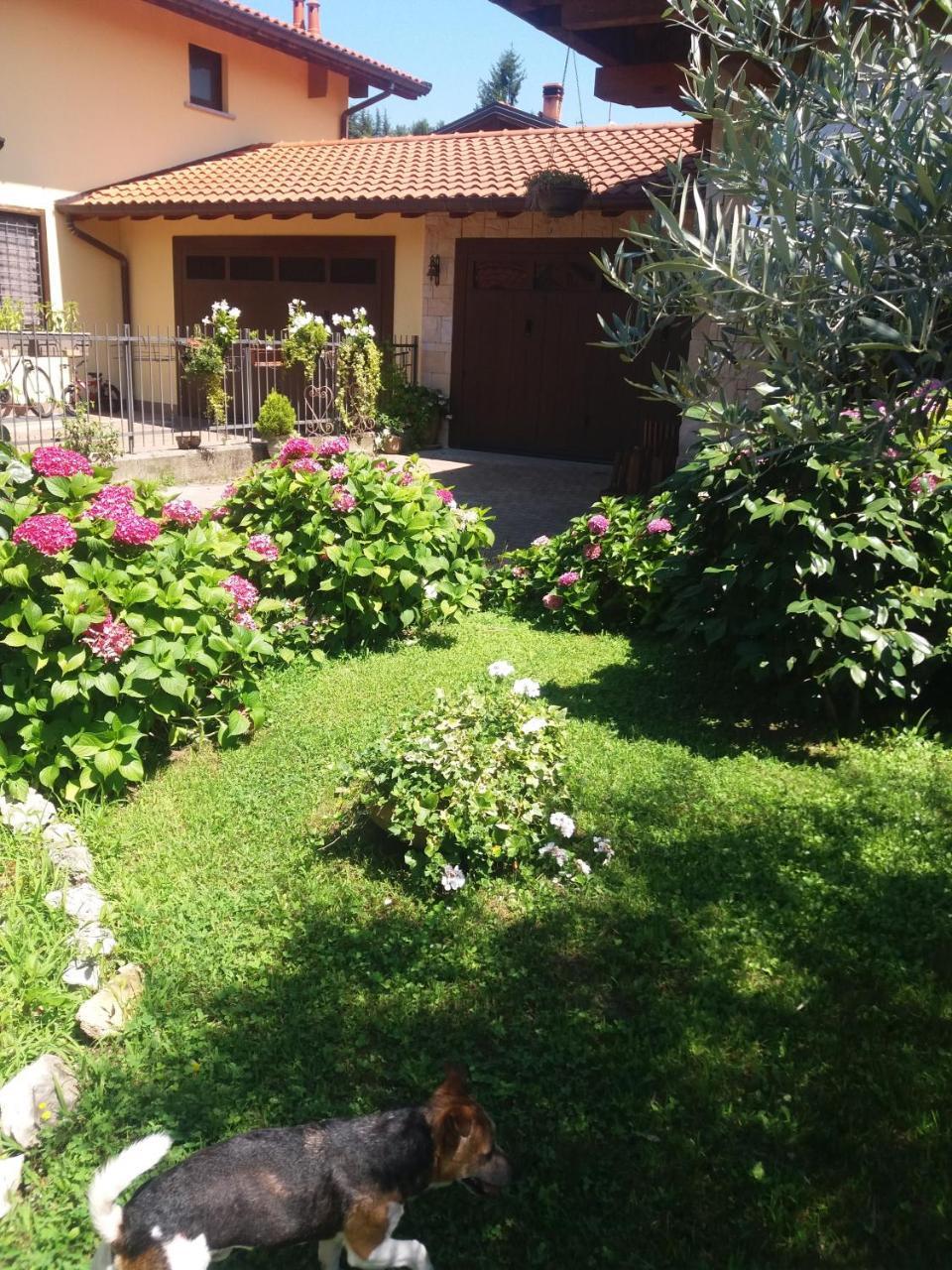 Travedona B&B Silvana מראה חיצוני תמונה